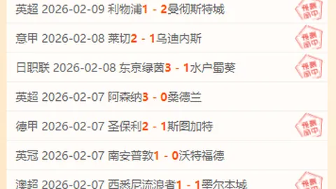 阿甲战绩揭秘：38胜30负背后，这些特殊因素不容忽视！