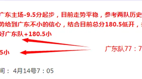 NBA9中8每日精选：专家推荐大乐透期号质合分析